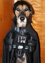 darthvader