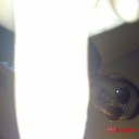 ivailo_9662