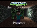 the_pro_gamer