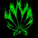 cellect