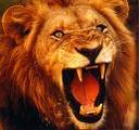 boss_lud4ety