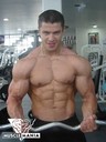 david