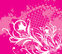 beauty_