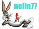 nelin77