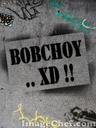 b0bch0y