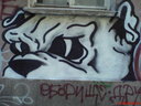 mony23