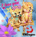mimi_winx_stela