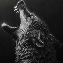 krum_love_69
