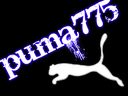 puma775