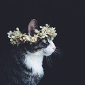 fiire_girl