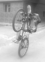 chocho_104