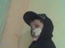 sanyy