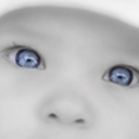 gogov4o