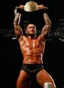 randy_viper