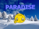 paradise
