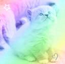 miley_smiley97