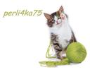 perli4ka75