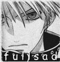 fullsadd