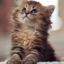 ivo_07_12