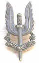 sas22_rade