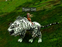 tom_j