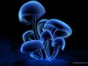 alienproduction