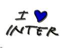 ivkointer