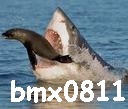 bmx0811