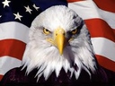 rustyeagle5