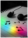 ludo_fenche