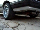 sve_savov