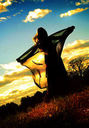 nightwish96