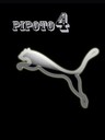 pipoto4