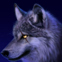thewolf6