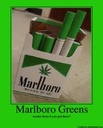 malboro_green99