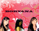 bori_ana1