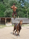 stuntman