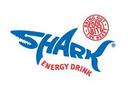 shark1