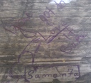 saman7a