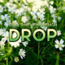 Digă Drop