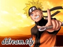 ddreamteamly