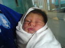 ibro123