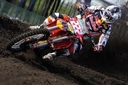 cairoli