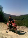 denis_46