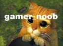 gamer_noob