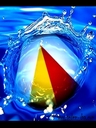 hawk_stz