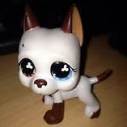 lps_be_cool