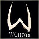 wodota_gameplay