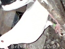 bebo500
