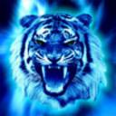 tigur16